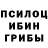 Галлюциногенные грибы MAGIC MUSHROOMS Avaplay Hinastya