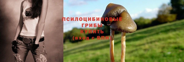 гашишное масло Дмитровск