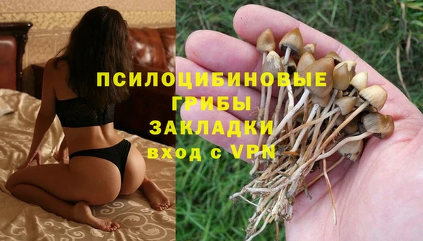 jwh Гусиноозёрск