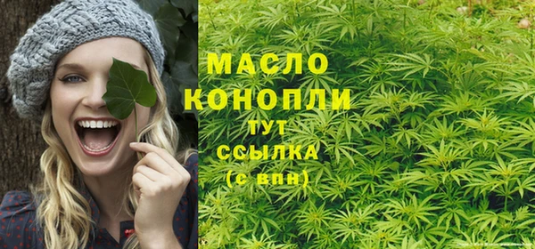 мет Дмитров