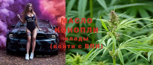 мет Дмитров