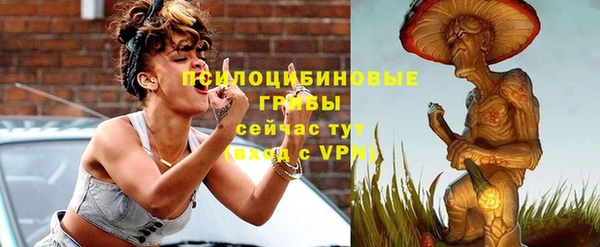 спиды Дмитриев