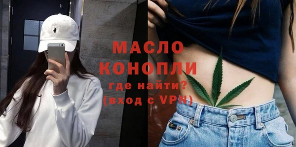мет Дмитров