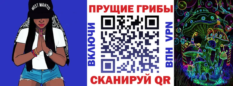 Галлюциногенные грибы Psilocybe  Донецк 
